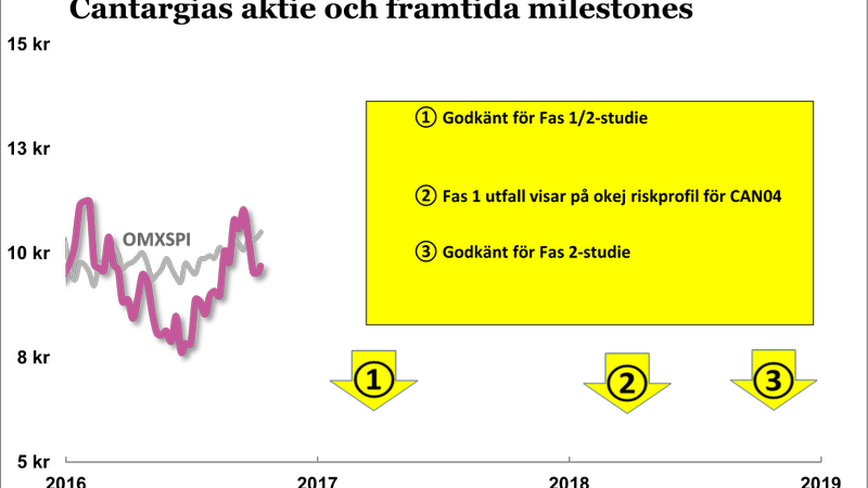 Cantargia – seriöst lågbudgetförsök att lösa cancerns gåta - c0299d85-c475-4b88-ab03-452487f9ea8efitcroph450q80upscaletruew800sed01ba32c2492989cdfffe17e3e6b22383ea14de