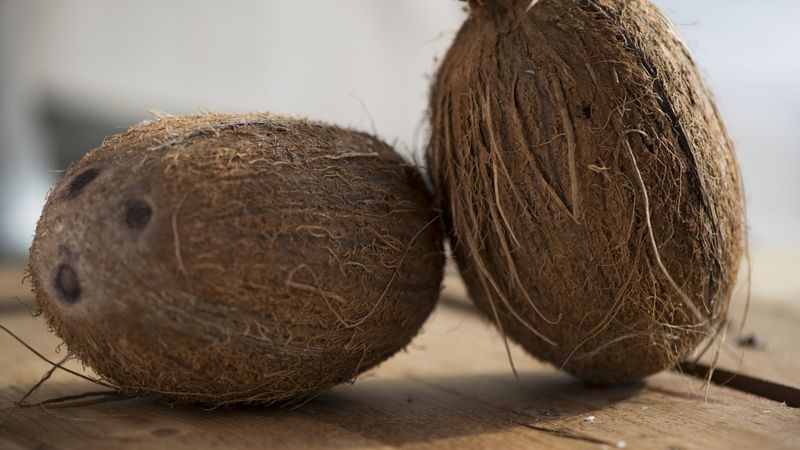 Krönika: Cocosnötter möter verkligheten - 749fdd9d-ffdb-4c42-9a4e-c60c45d02cd7fitcroph450q80upscaletruew800sea47f1c251aca04a7937810e4e9bde06f758e033