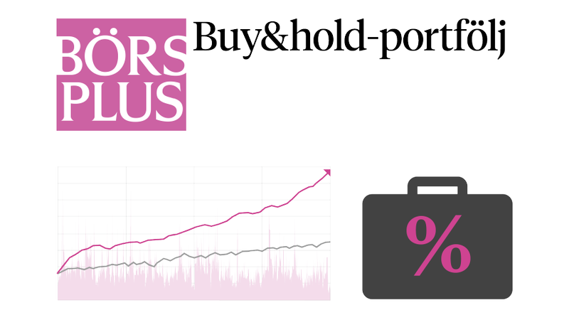 Buy and Hold-portföljen: Första halvåret - c88aeb54-8037-4a73-87e6-324b5a84f260fitcroph450q80upscaletruew800sf7fb600a8c1e8fe3a7c3a6c3d9fc89319e0721a6