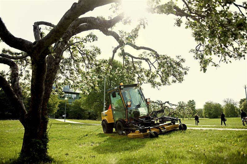 Green Landscaping