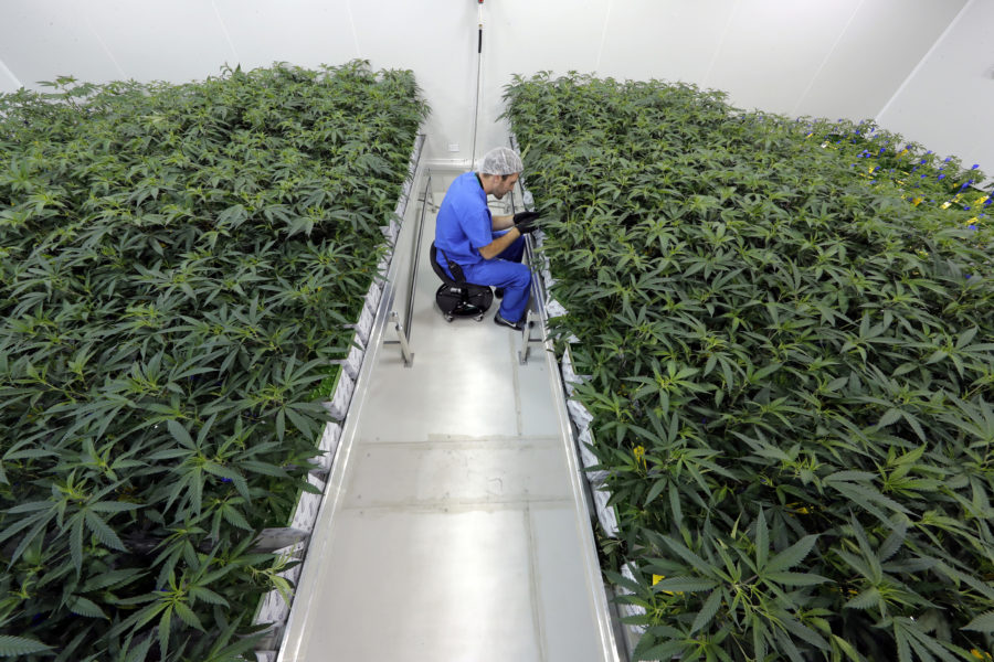 ODI Pharma: Stark börsdebut - Louisiana Medical Marijuana