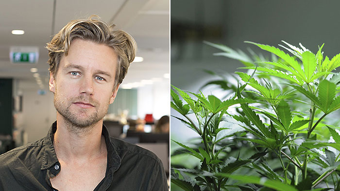 Staten borde köpa fler marijuanaaktier - anderberg-cannabis-700_binary_6954202.jpg