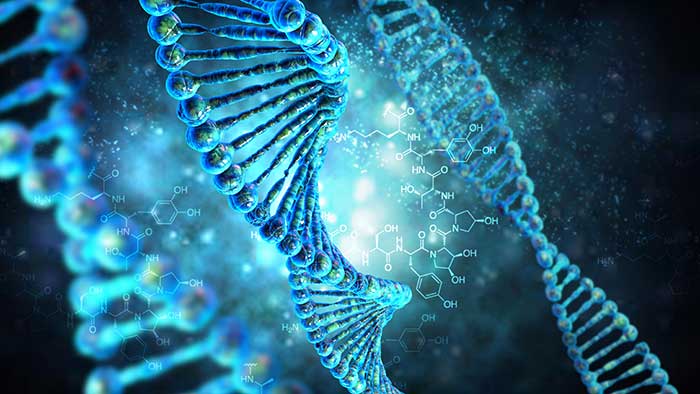 Fyra högriskaktier med stor uppsidepotential - dna-700_binary_6848051.jpg