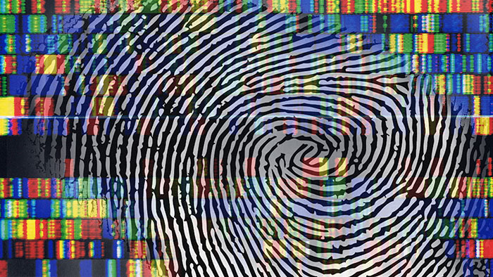 Synaptics vinstvarnar – vd får lämna - fingerprint-sensor-synaptics-700_binary_6844718.jpg