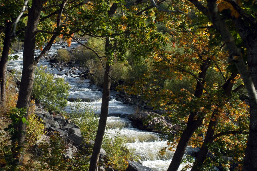 4 fördelar med dammar – nyckeln till förnybar energi - fish-ladder-forest_binary_6881400.jpg