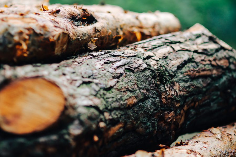 Experttips: Så undviker du fallgroparna när du köper skog - kaboompics_Wood-trunks-Wall-1200x600_binary_6860469.jpg
