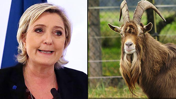 Analytiker: En get kan vinna över Le Pen - le-pen-get-affarsvarlden-700-394_binary_6829781.jpg