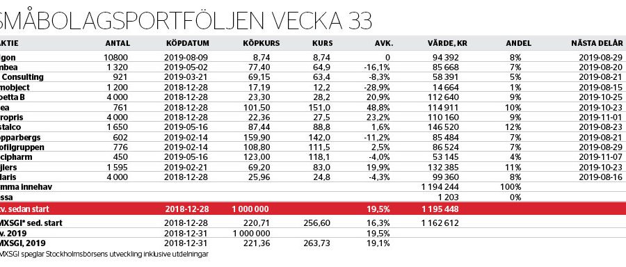 Dumpar portföljsänket - smabolagsportfoljen-nr-33_binary_6966339.jpg