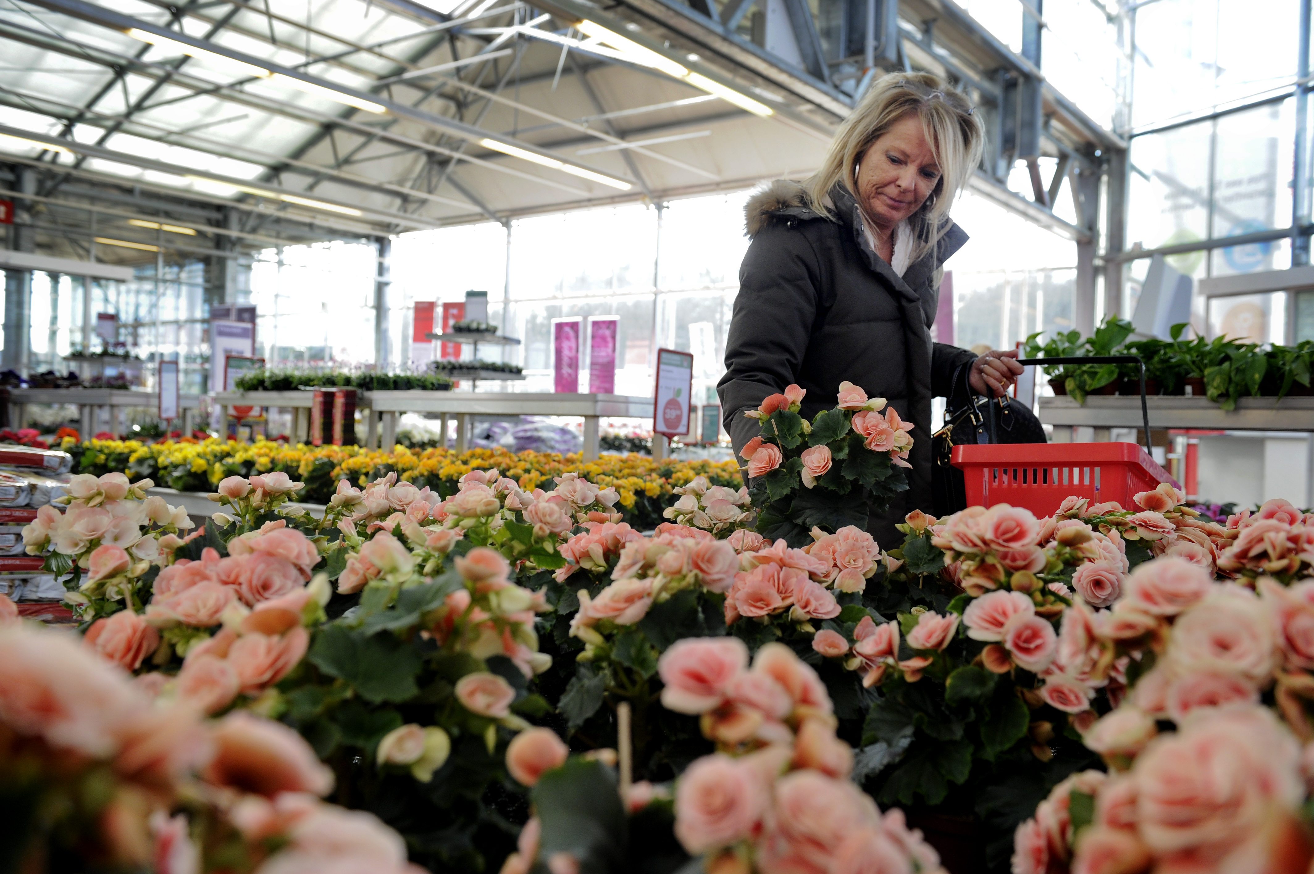 Plantagen får grönt ljus för rekonstruktion