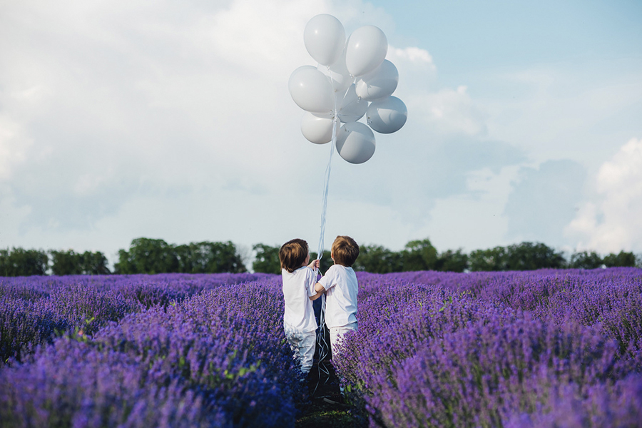 De utmanar normen kring medicinska behandlingar på barn - back view, two happy little boys holding hands, in lavender field,