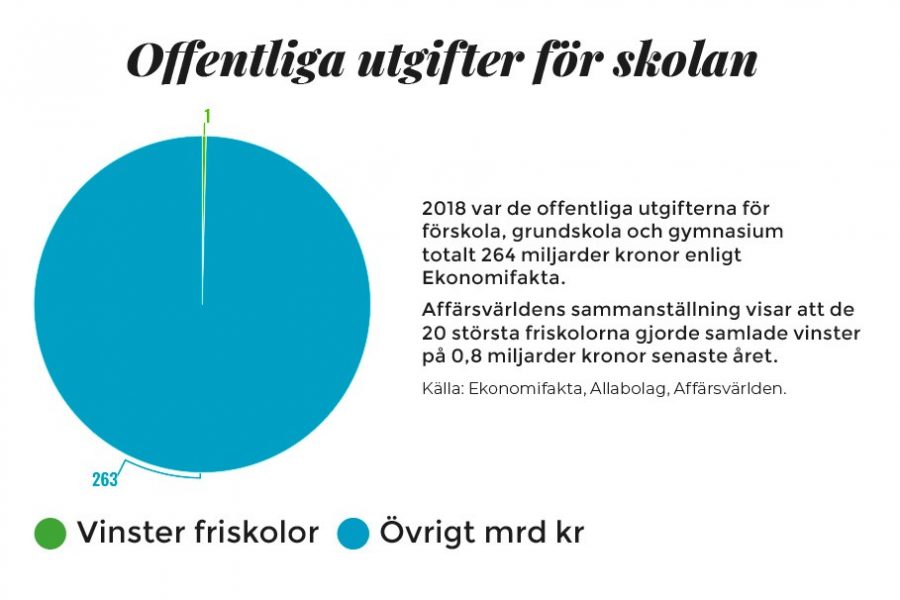 ”Ett förödande skattesvinn” - Vinster friskolor