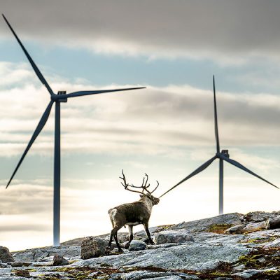 SCA siktar på att bli störst i landet på vindkraft