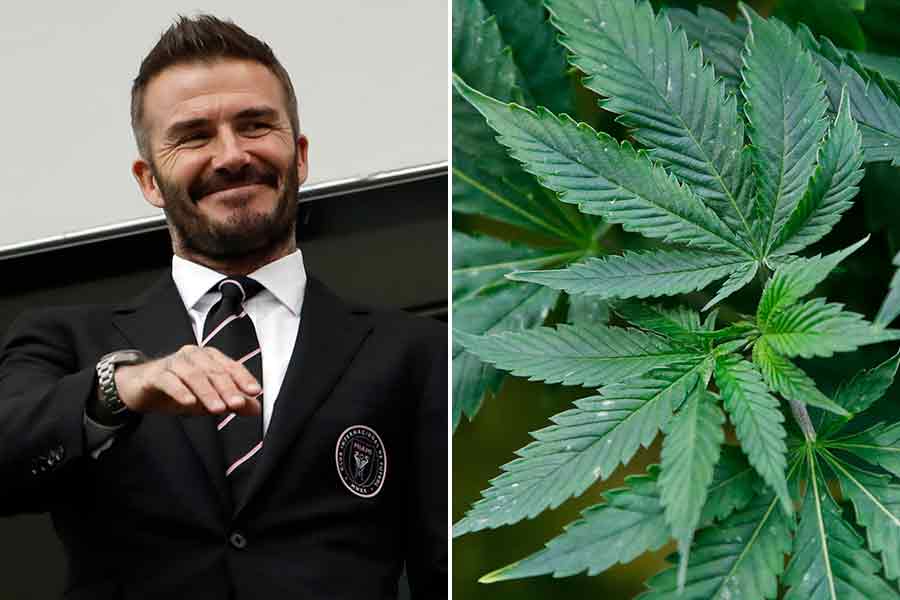 Beckhams cannabisbolag rusar efter börsnotering - beckham-cannabis-900