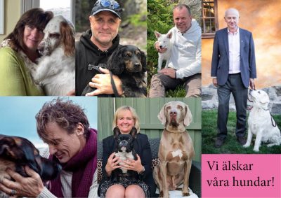 Finansvalparna näringslivets hundar