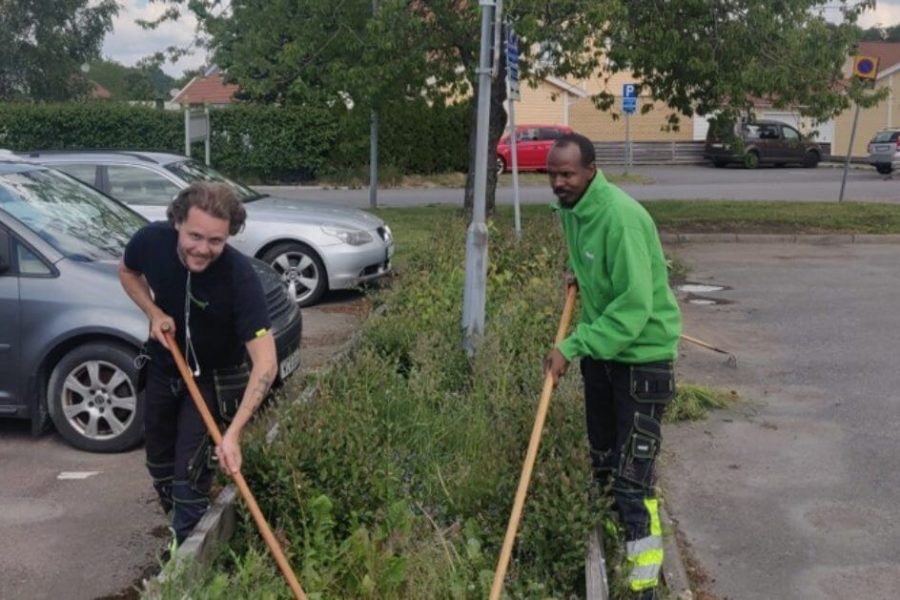 Green Landscaping förvärvar i Tyskland - Bild-Steps-1200×629