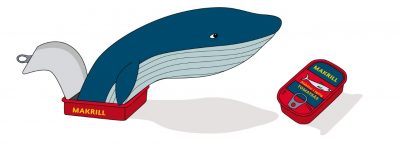 thumbnail_webb-makrill-val-emilie-bergman_NY
