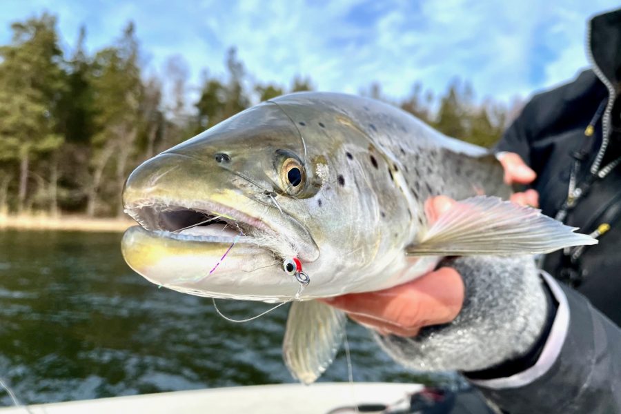 Söder Sportfiske: Krokar på ett förvärv - Fishline