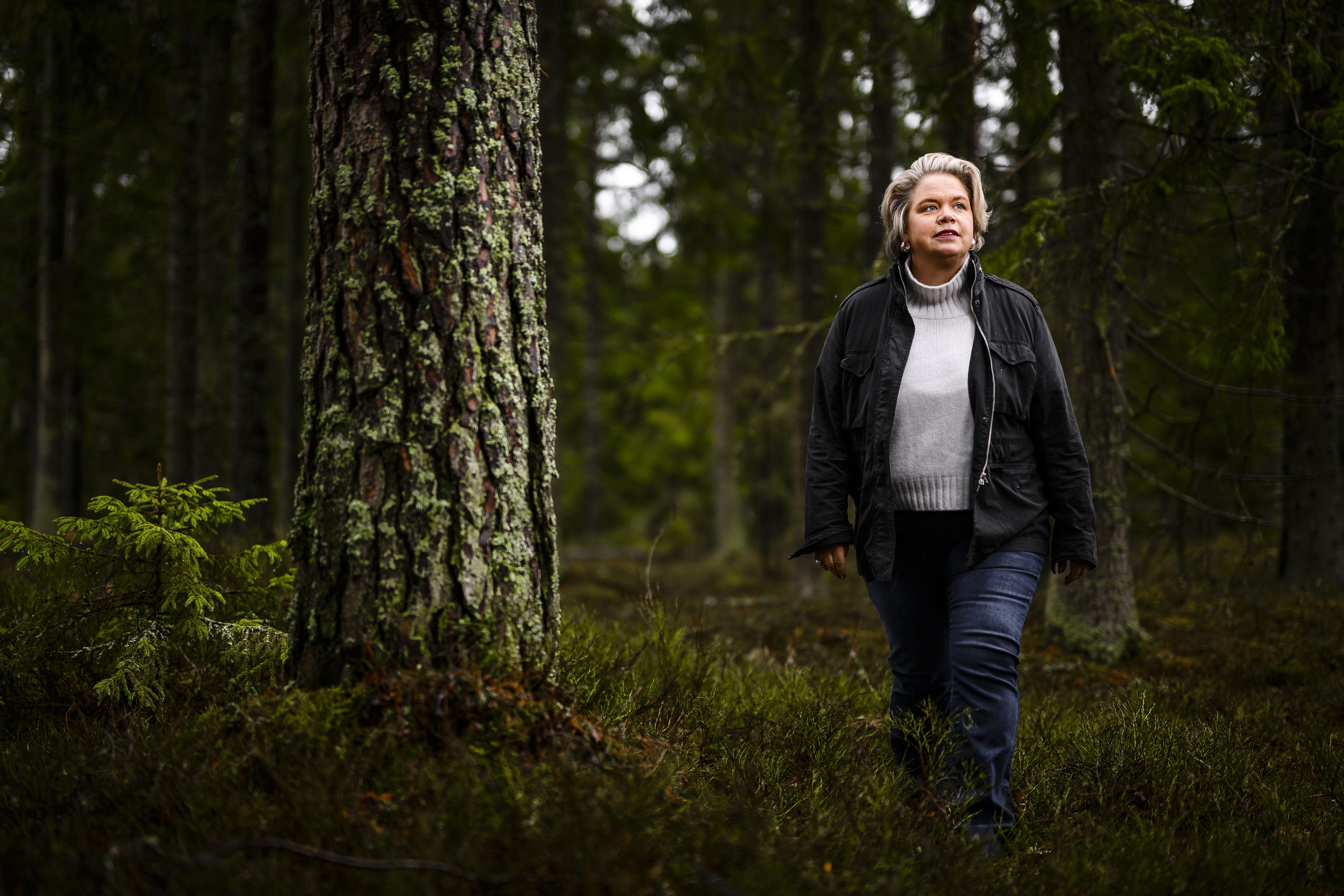 Södra gör miljardinvestering i Kinda