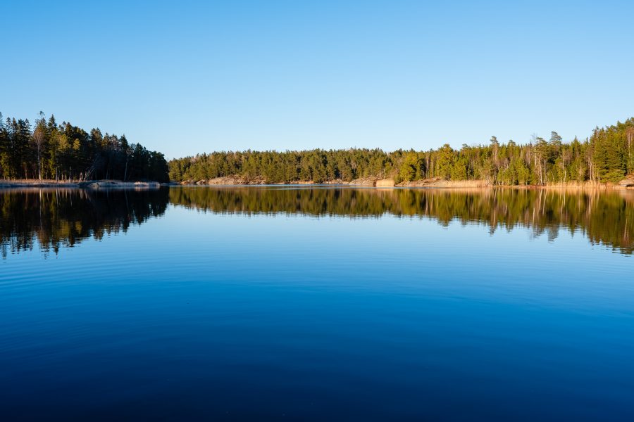 köpa skog