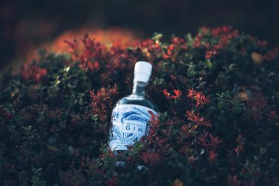 arctic-blue-beverages 1200