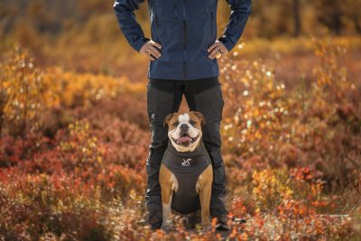Revolution Race lanserar hundkollektion