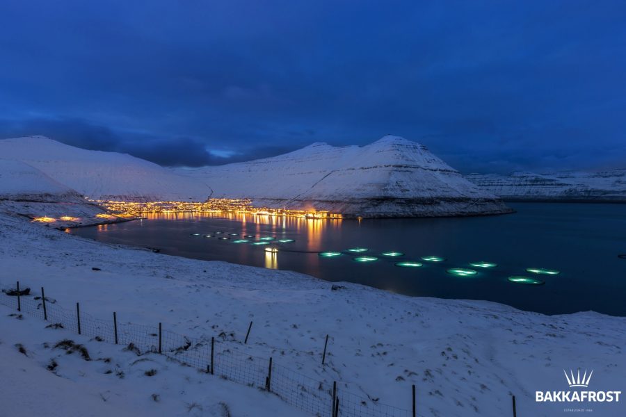 Bakkafrost: Dags att fiska lax? - bf_a57_fuglafjørður_night_001