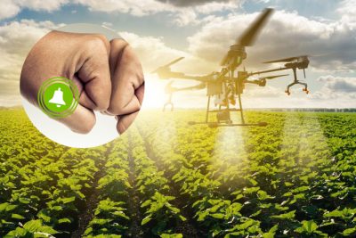 IPO-guiden hissar tre flaggor i Cinis Fertilizer