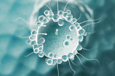Företrädesemission i Spermosens på 24 miljoner kronor