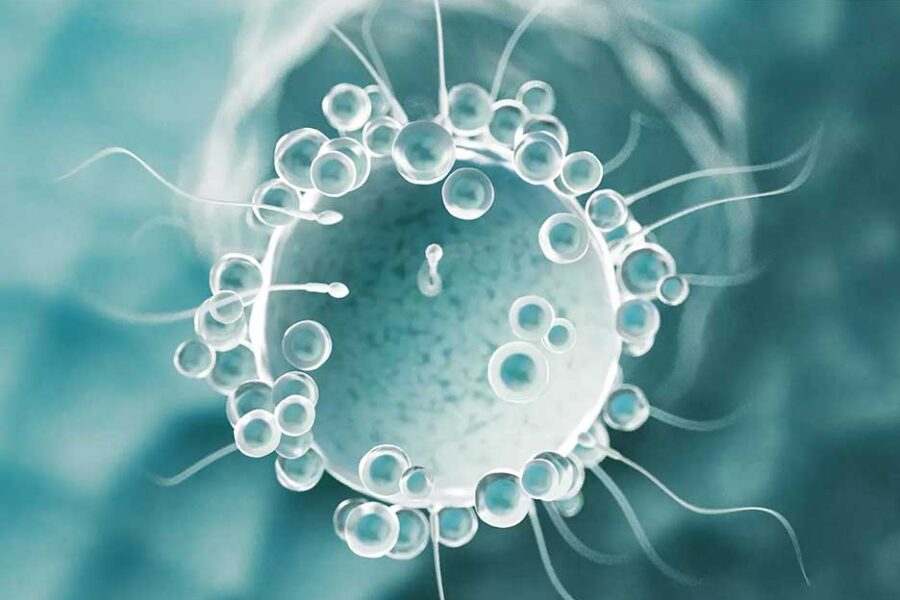 Spermosens får patentgodkännande i USA - spermosens-pressbild