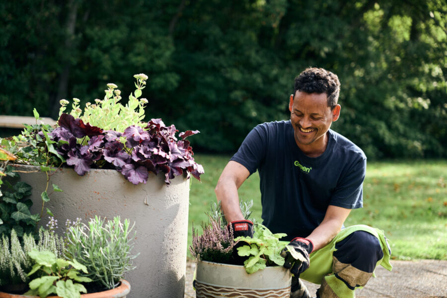 Green Landscaping tar klivet in i Tyskland genom förvärv - Green