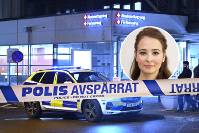 Alice Teodorescu: När tröttnar skötsamma på att den kriminella minoriteten går före?