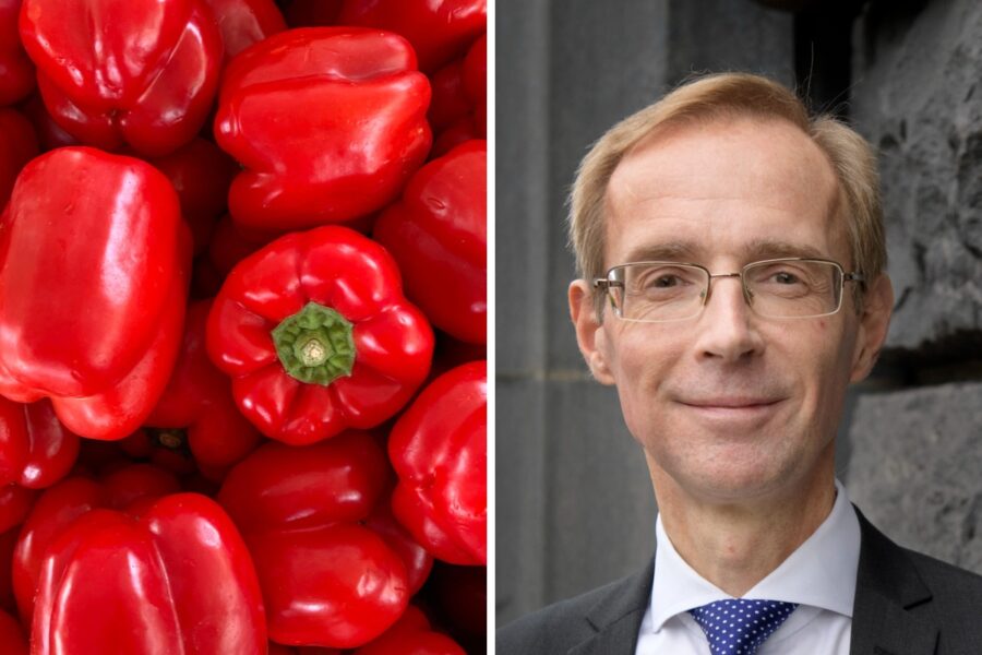 Ekonom om rusande matpriserna: ”Producenter kan tro att det fortsätter så här” - robert-paprika