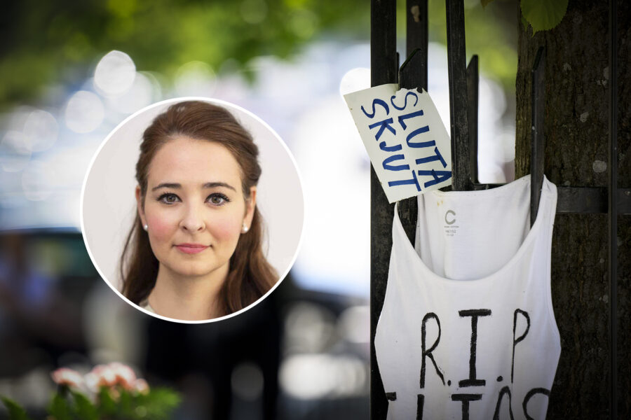 Teodorescu: Kriminaliteten är kostsam – Sverige ses som ett avskräckande exempel - WEB_INRIKES