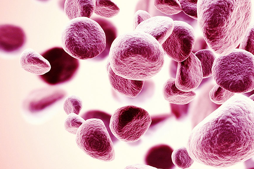 Sobi har slutfört budet på CTI Biopharma - Sobi blood cells