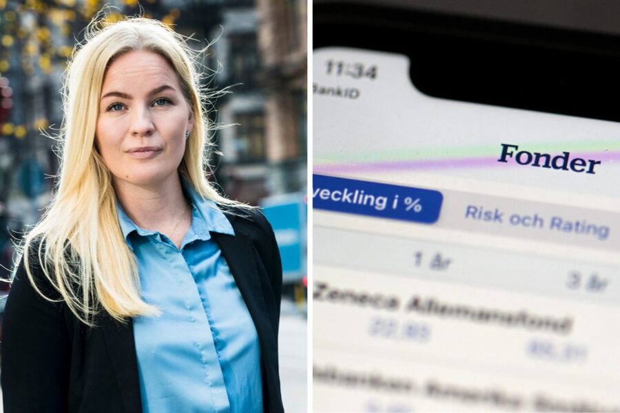 Avanza Zero bäst bland de stora Sverigefonderna – så går det för jättarna - Morning