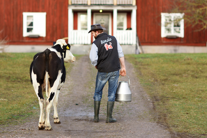 Arla sänker priserna med 10% - Arla