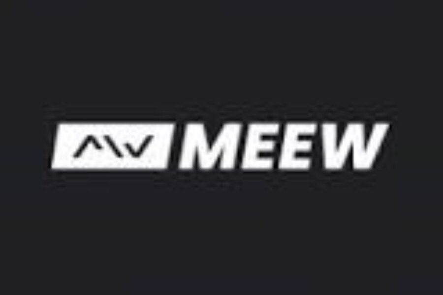 Meew redovisade fejkad omsättning - Meew