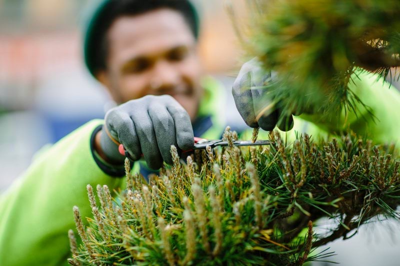 Green Landscaping: Klipper till med förvärv - Green