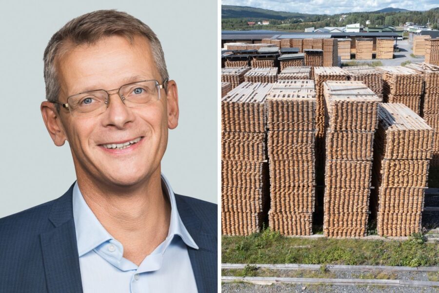 Skogsexperten: Röda marginaler i höst – sågverksdöd hotar på sikt - Skog Danske