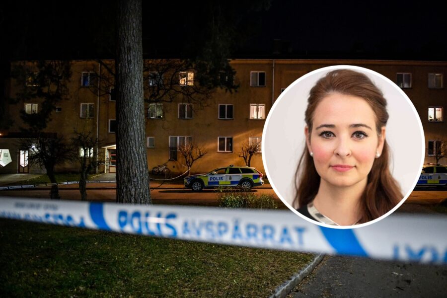Alice Teodorescu: Kriminaliteten ruinerar Sverigebilden - alice-kriminalitet-kronika