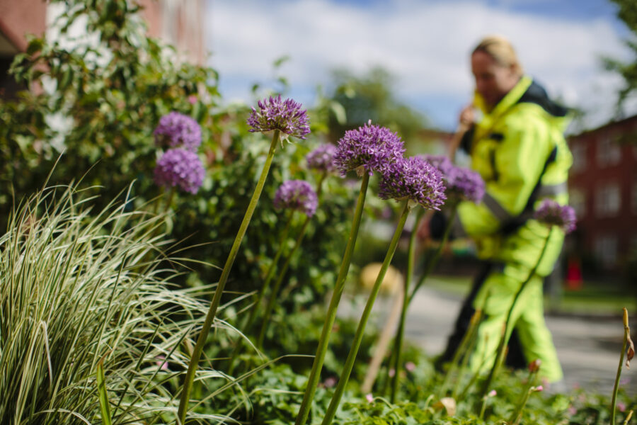 Green Landscapings ordförande säljer aktier för 9 miljoner - Green Landscaping