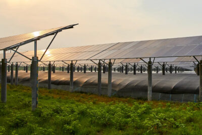 OX2 solpanel frankrike