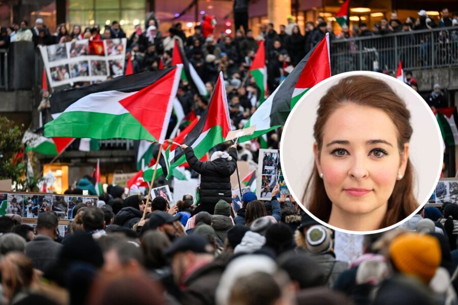 Alice Teodorescu: Värderingskonflikterna hotar det svenska samhället - hamas-alice-t