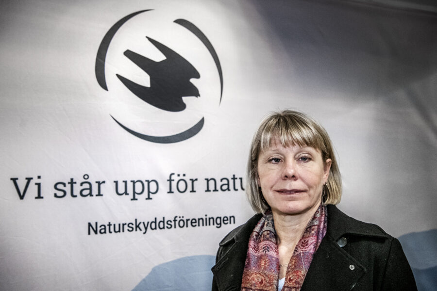 Lexén: Sverige måste öka takten – för klimatet, jobben och välfärden - KARIN LEXN