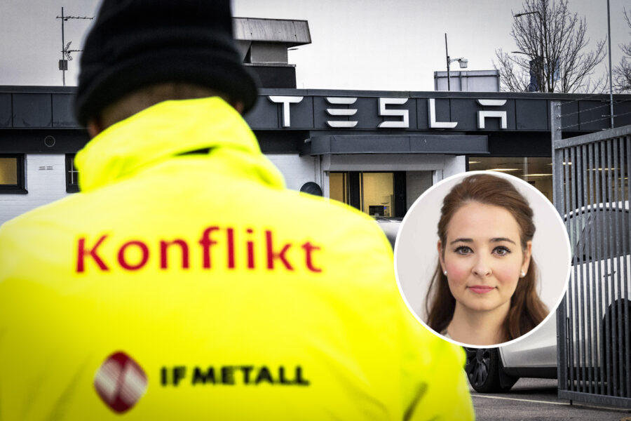 Teodorescu: Facket vill visa vem som bestämmer – inför en proportionalitetsprincip - tesla IF