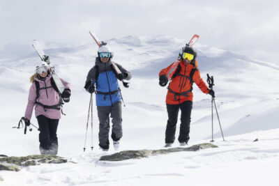 Skistar skidåkning vinter snö