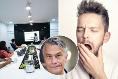Mats Alvesson Möte