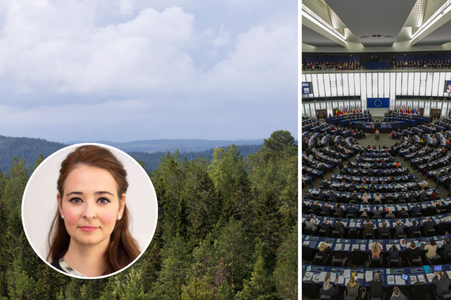 EU är på väg att såga av grenen som framtidens klimatpolitik sitter på  - Alice Skog EU