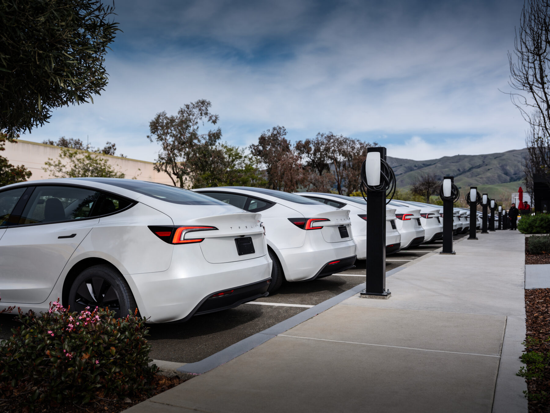 Tingsrätten bekräftar Sekos utökade postblockad mot Tesla