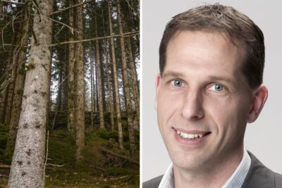Paul Nord Skog (1)